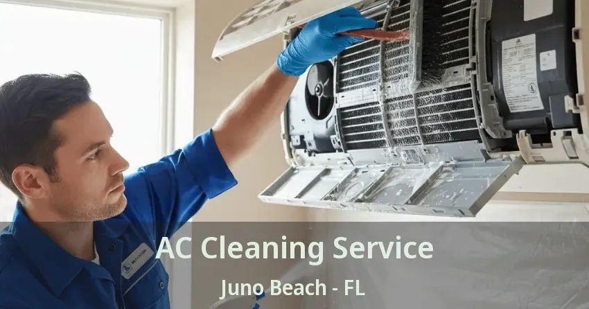 AC Cleaning Service Juno Beach - FL
