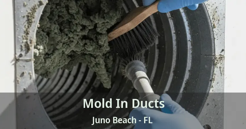 Mold In Ducts Juno Beach - FL